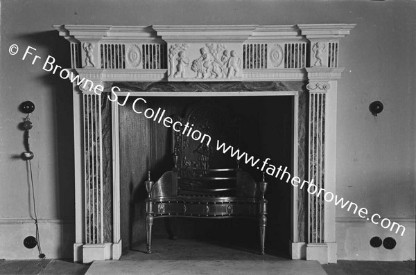 ABBEYLEIX HOUSE  FIREPLACE IN LIBRARY